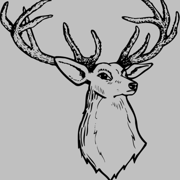DEER008 Thumbnail