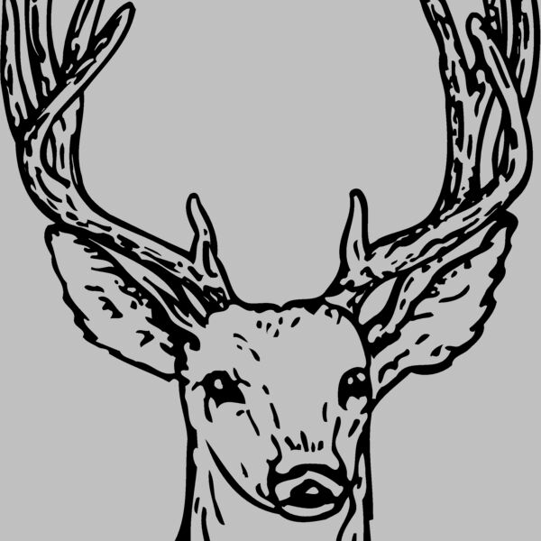 DEER011 Thumbnail