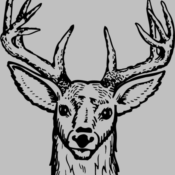 DEER012 Thumbnail