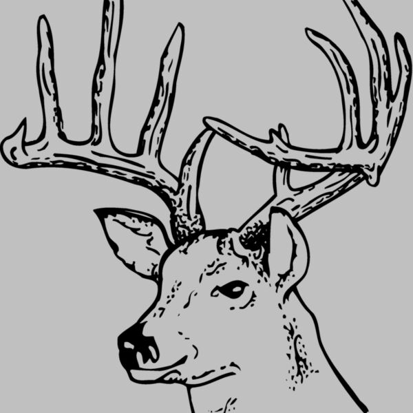 DEER014 Thumbnail