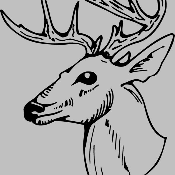 DEER018 Thumbnail