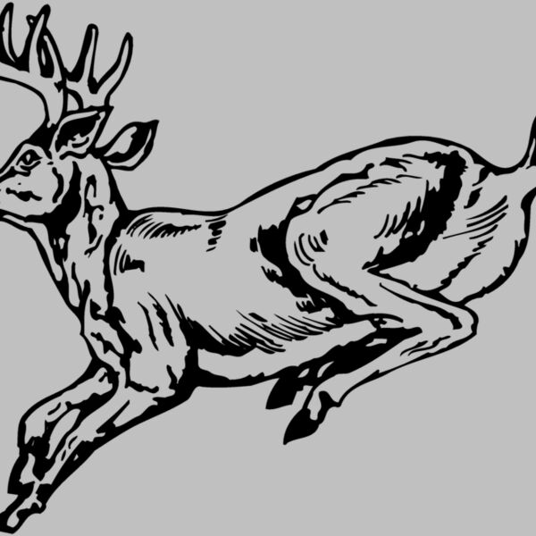 DEER027 Thumbnail