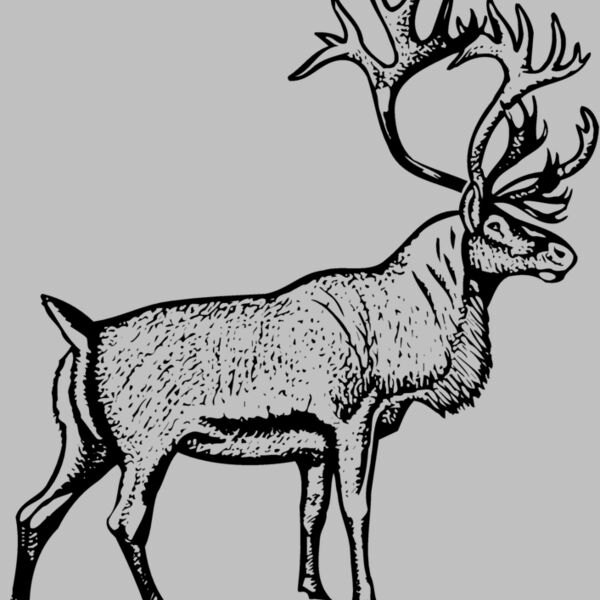 DEER030 Thumbnail