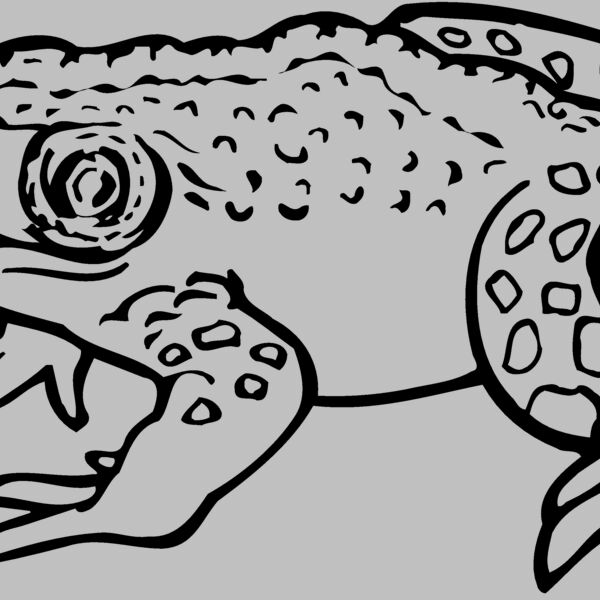 FROG02 Thumbnail