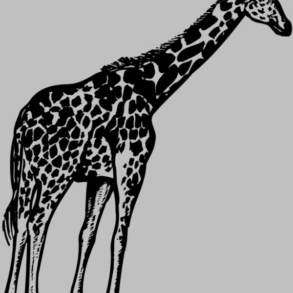 GIRAFF02 Thumbnail
