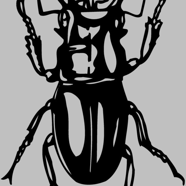 EARWIG Thumbnail