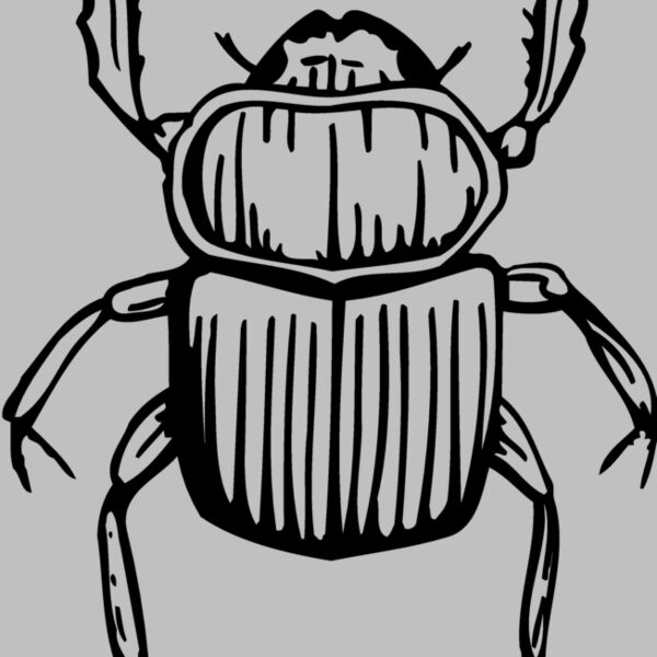 JUNEBUG Thumbnail