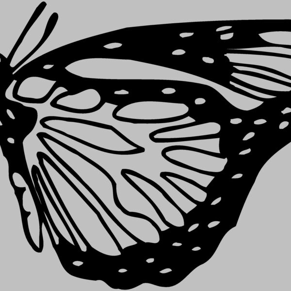 BTRFLY03 Thumbnail