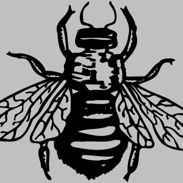 FLY01 Thumbnail