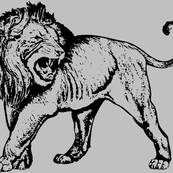 LION007 Thumbnail