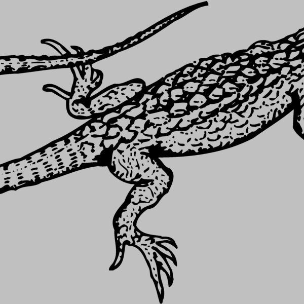 LIZARD01 Thumbnail