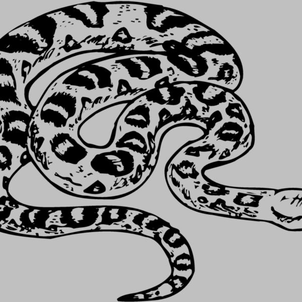 SNAKE001 Thumbnail