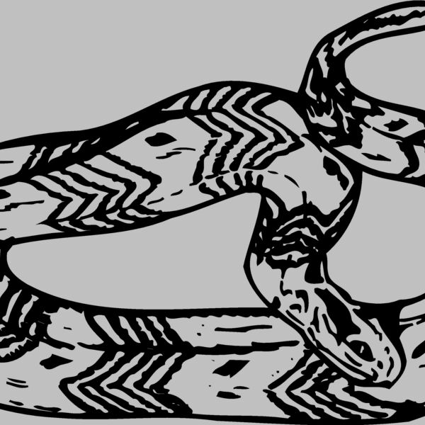 SNAKE002 Thumbnail
