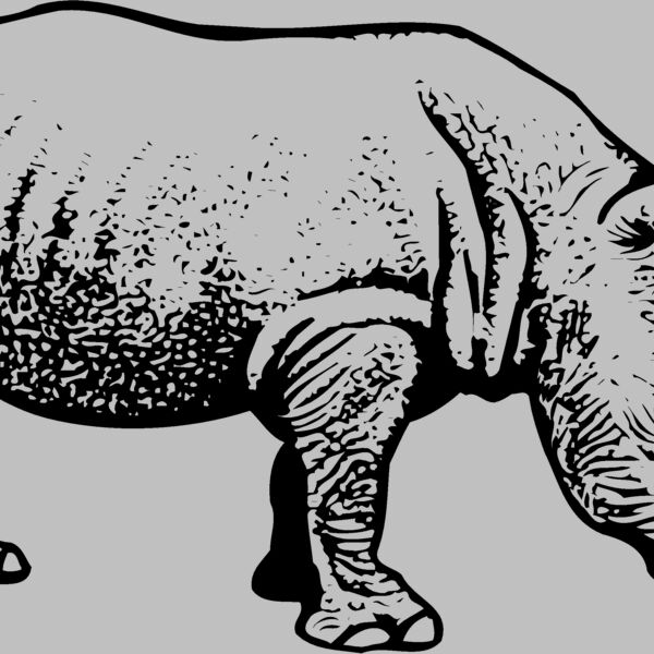 RHINO001 Thumbnail