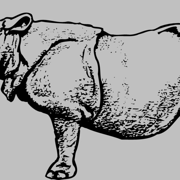 RHINO003 Thumbnail