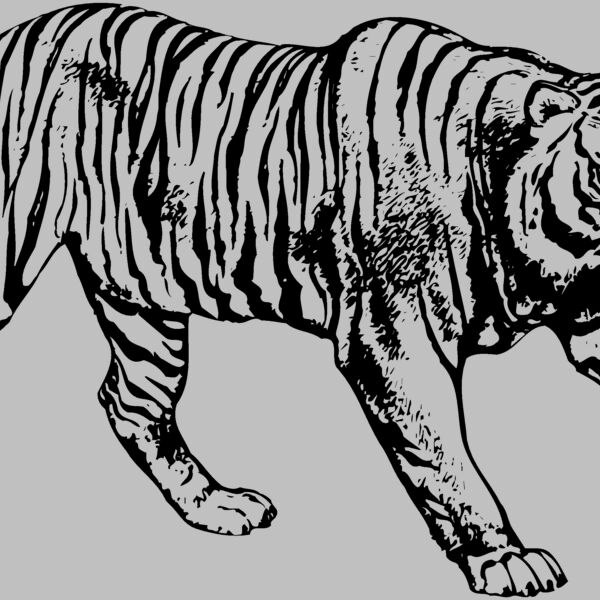 TIGER005 Thumbnail