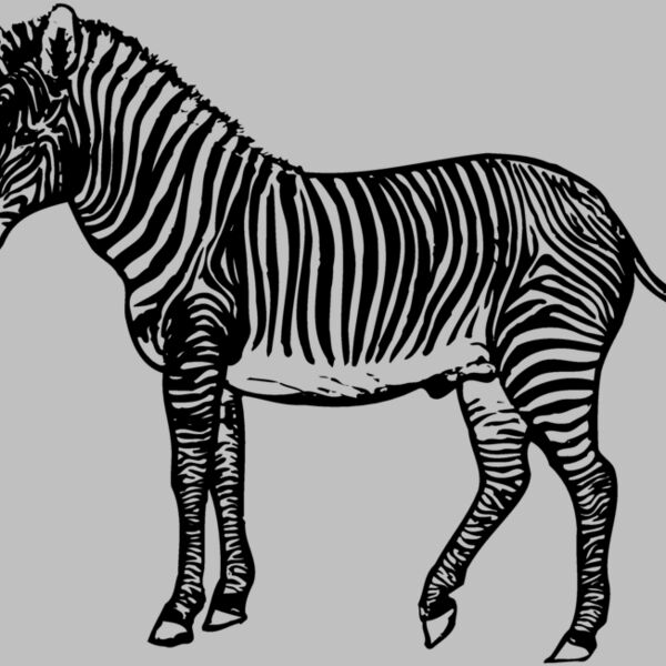 ZEBRA003 Thumbnail