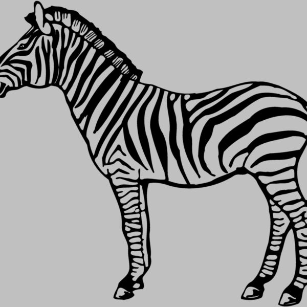 ZEBRA004 Thumbnail