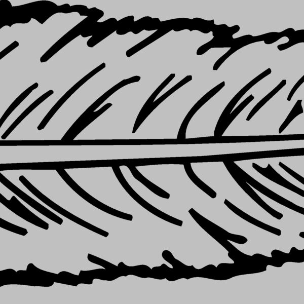 FEATHER Thumbnail
