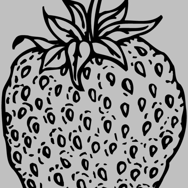 FRUIT009 Thumbnail