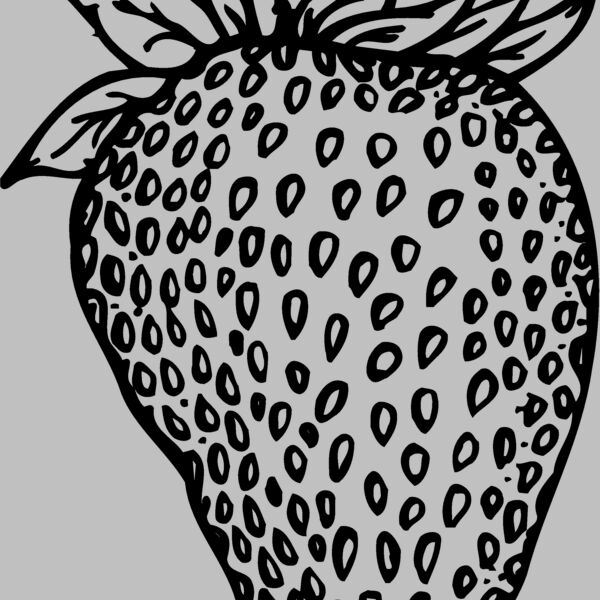 FRUIT010 Thumbnail