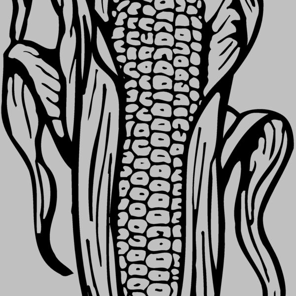GRAIN001 Thumbnail