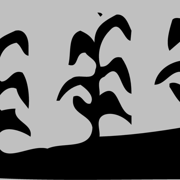 GRAIN016 Thumbnail