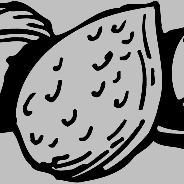 NUT002 Thumbnail