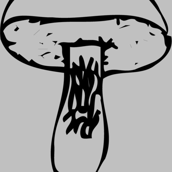 VEG028 Thumbnail