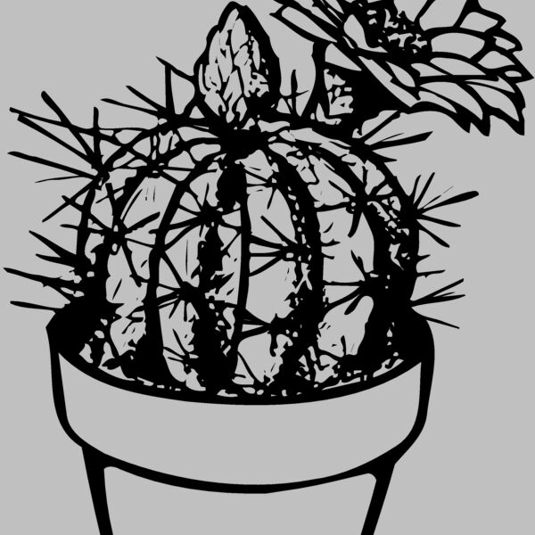 CACTUS01 Thumbnail