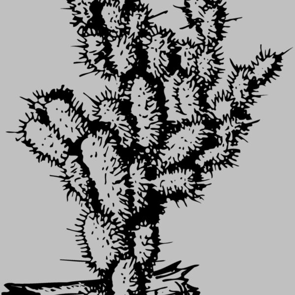 CACTUS09 Thumbnail