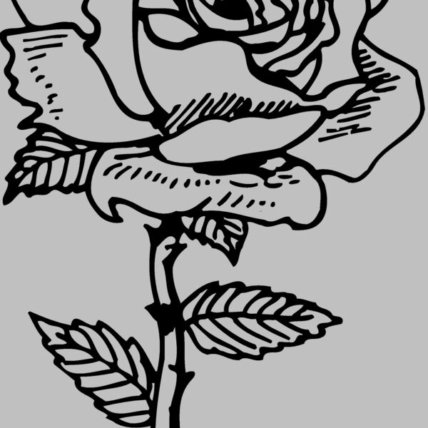 FLOWER04 Thumbnail