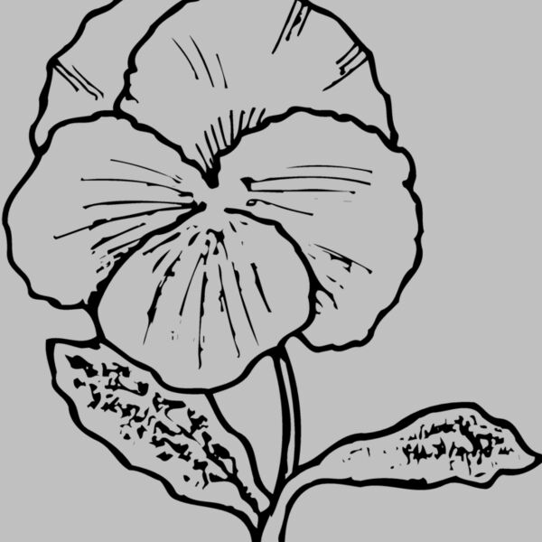FLOWER07 Thumbnail