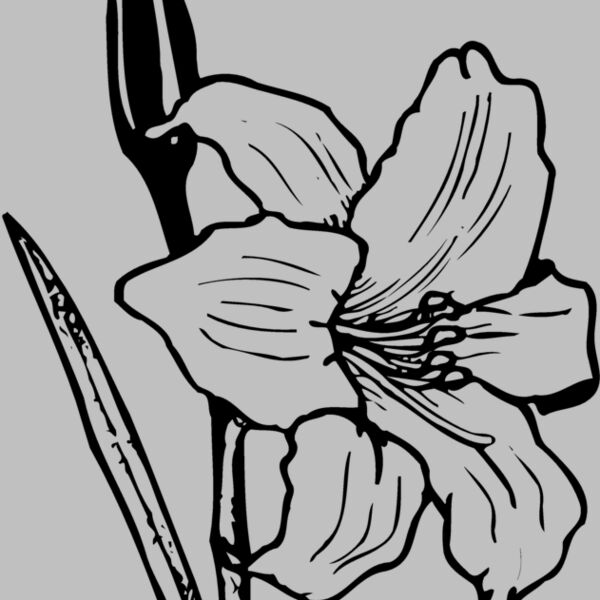 FLOWER12 Thumbnail