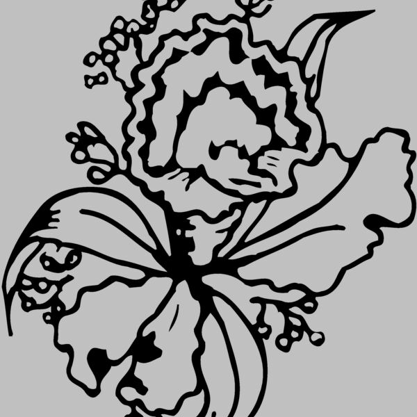 FLOWER13 Thumbnail