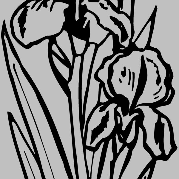 FLOWER20 Thumbnail