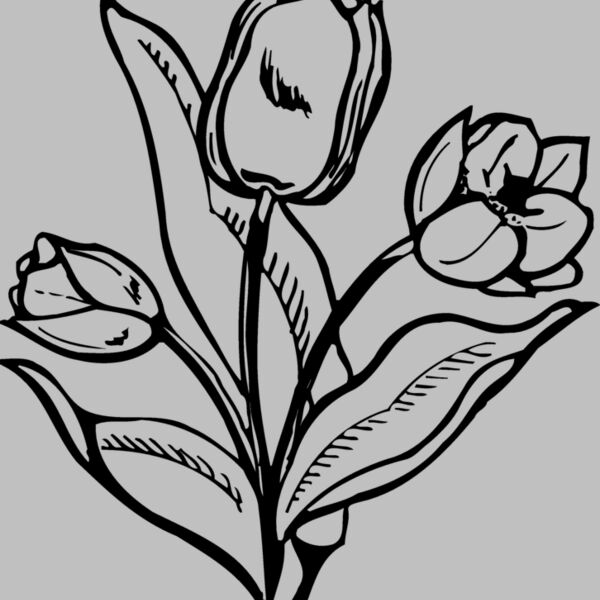 FLOWER24 Thumbnail