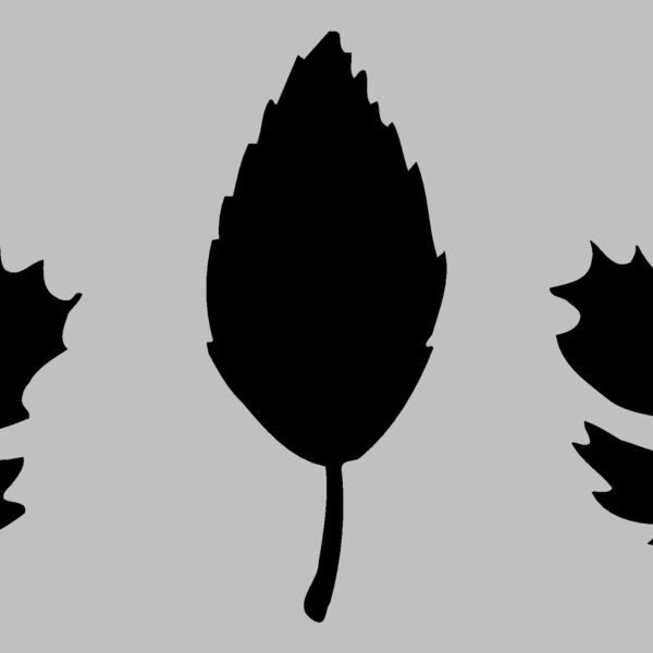 LEAF001 Thumbnail