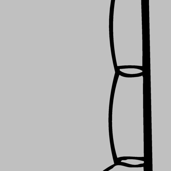 FISHNG01 Thumbnail