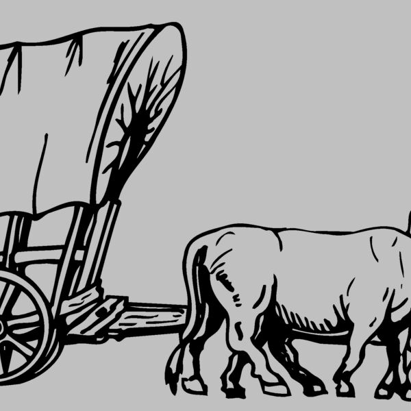 WAGON018 Thumbnail
