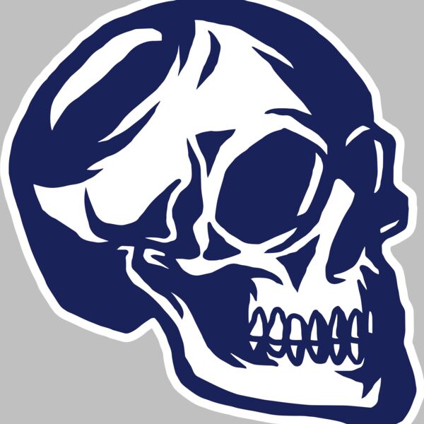 Elements Skulls logo template 139 Thumbnail