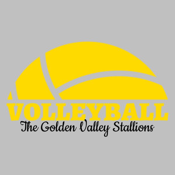 Volleyball 40 Thumbnail