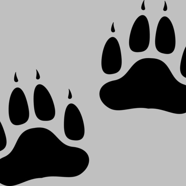 Bear   Clipart 2 Thumbnail