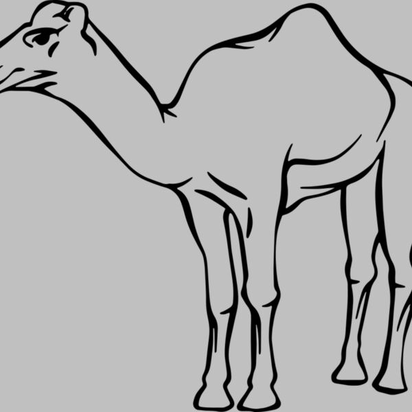 Camel   Clipart 2 Thumbnail