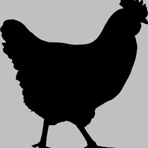 Chicken   Clipart 1 Thumbnail