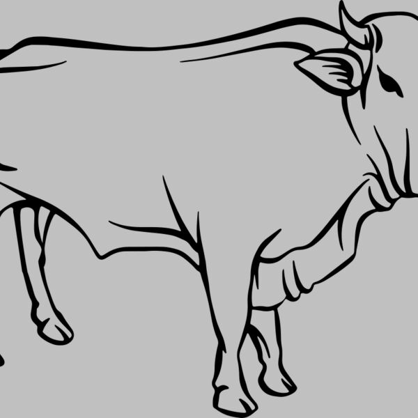 Cow   Clipart 2 Thumbnail