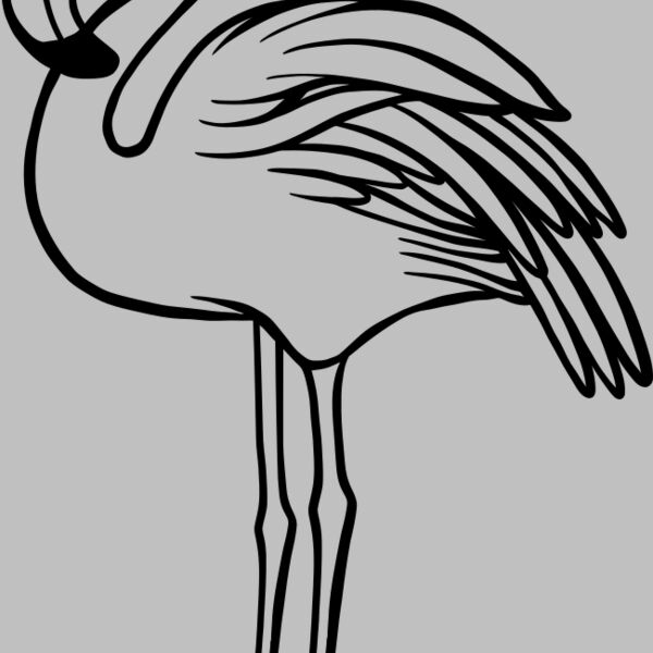 Flamingo   Clipart 1 Thumbnail