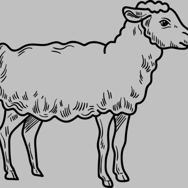 Lamb   Clipart 3 Thumbnail