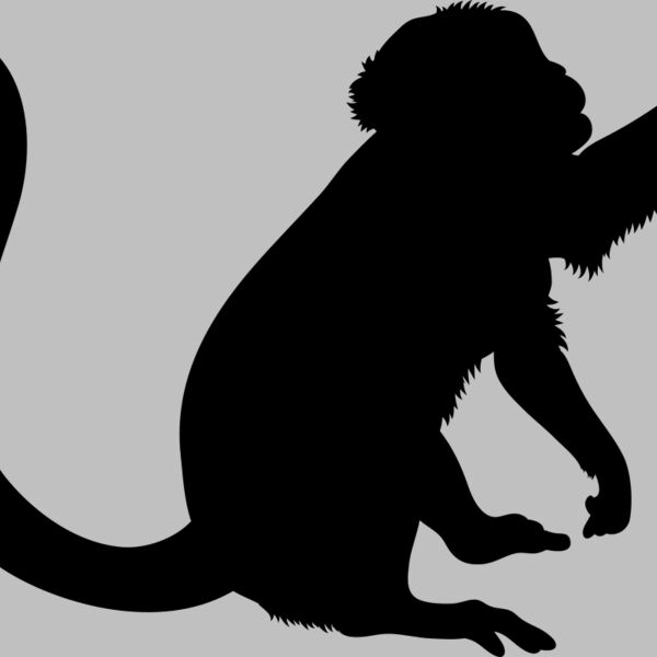 Monkey   Clipart 2 Thumbnail