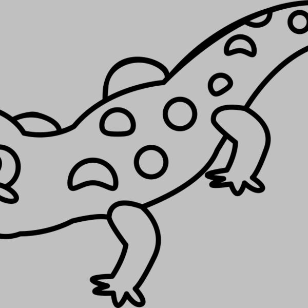 Newt   Clipart 2 Thumbnail